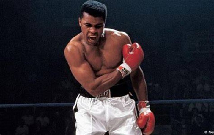 How much is Ali Alexander worth? Salary and net worth explored 1 Ali