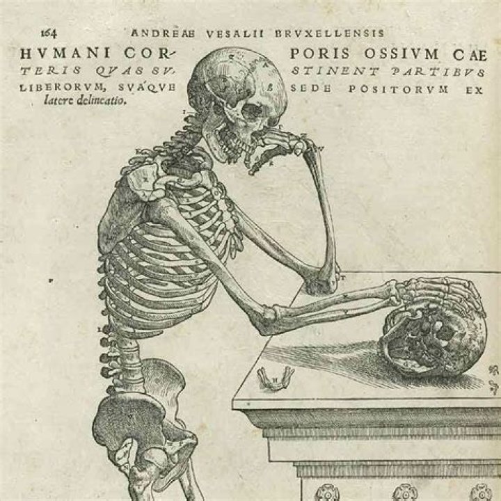 Andreas Vesalius Andreas Vesalius