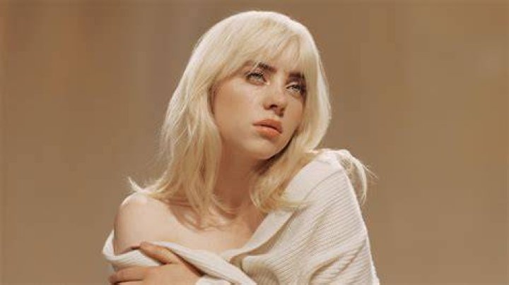 Maggie Baird, Patrick O'Connell: Meet Billie Eilish parents 1 Billie Eilish