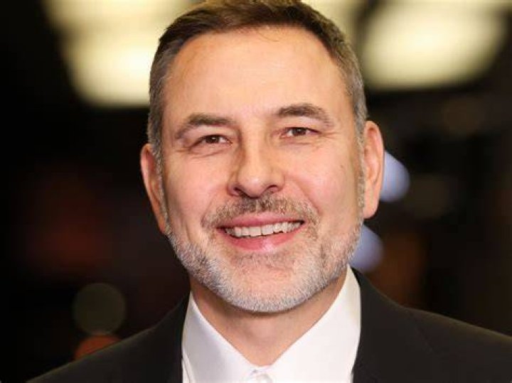 David Walliams David Walliams