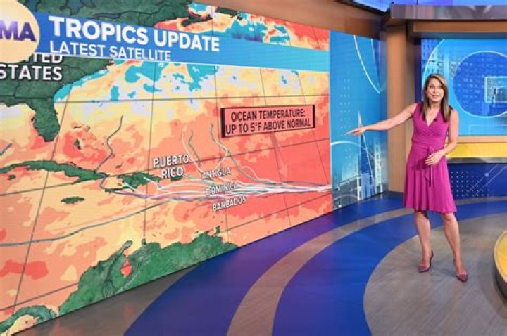 Ginger Zee Ginger Zee