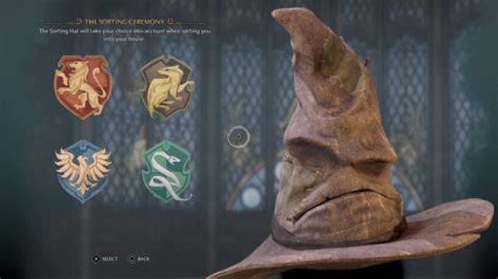 Hogwarts Legacy - The Sorting Hat