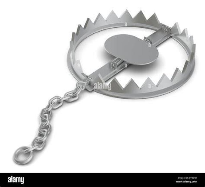 How to open a bear trap