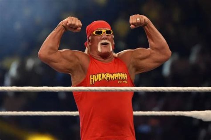 Hulk Hogan daughter: Who is Brooke Hogan? Age, husband, children 1 Hulk Hogan