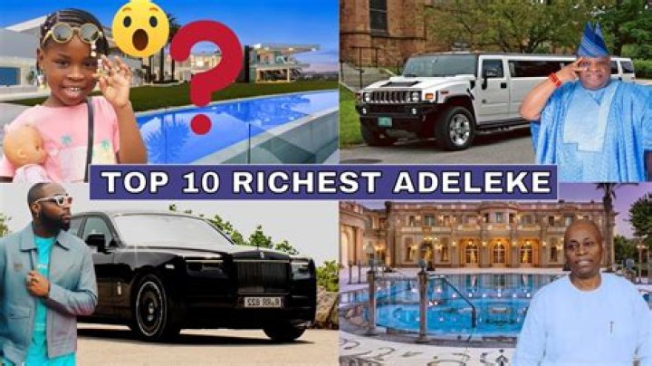 Ifeanyi Adeleke net worth