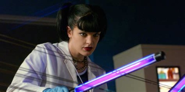 Pauley Perrette Pauley Perrette