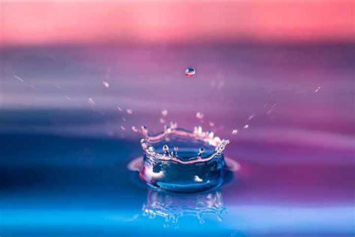 Splash