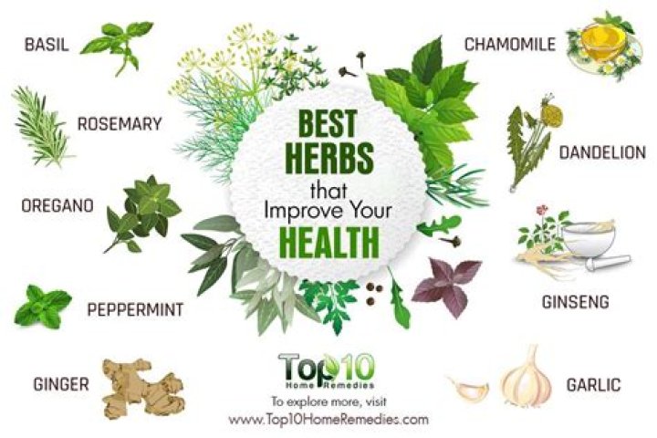 Top Herbs and Supplements to Treat Crohn’s