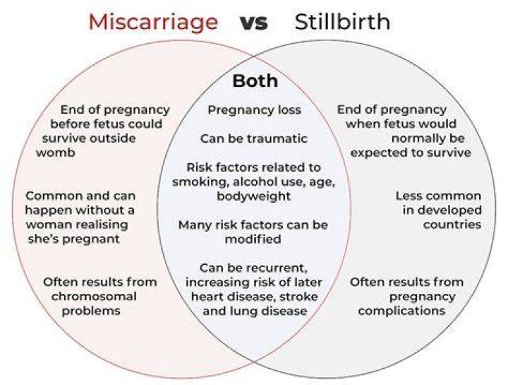 What is the Difference Between Stillbirths and Miscarriages